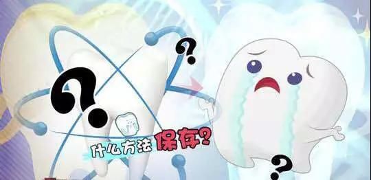 图片 3_2_compressed.jpg