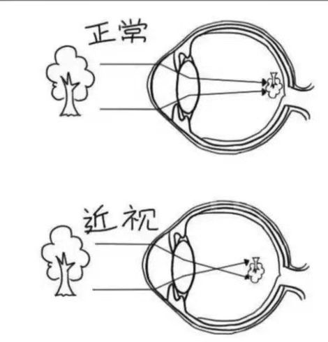 图片 8_compressed.jpg