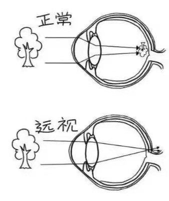 图片 6_compressed.jpg
