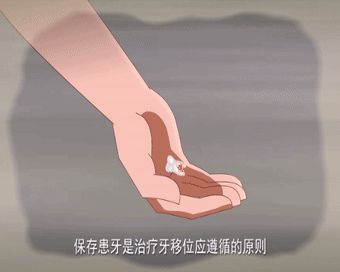 图片 16_compressed.jpg