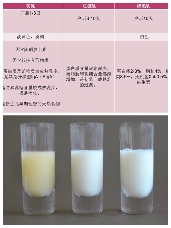 光影魔术手拼图.jpg 光影魔术手拼图.jpg