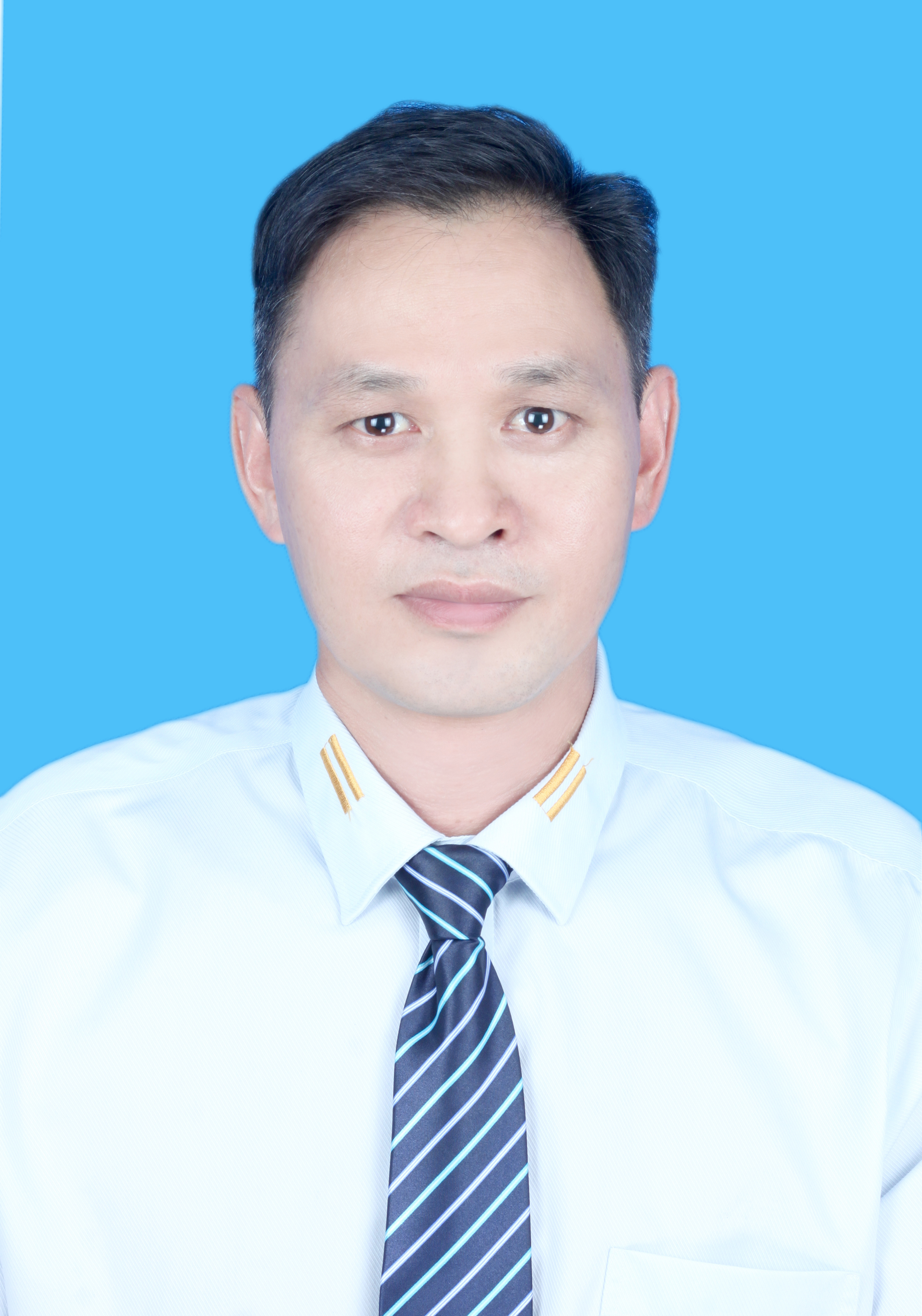 黄春葵